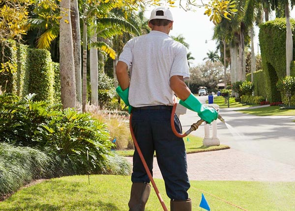 About Lincolnville Center ME Pest Control